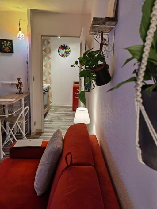 Cosy T1Bis Proche Centreville, Petit Port, Audencia Нант Екстер'єр фото